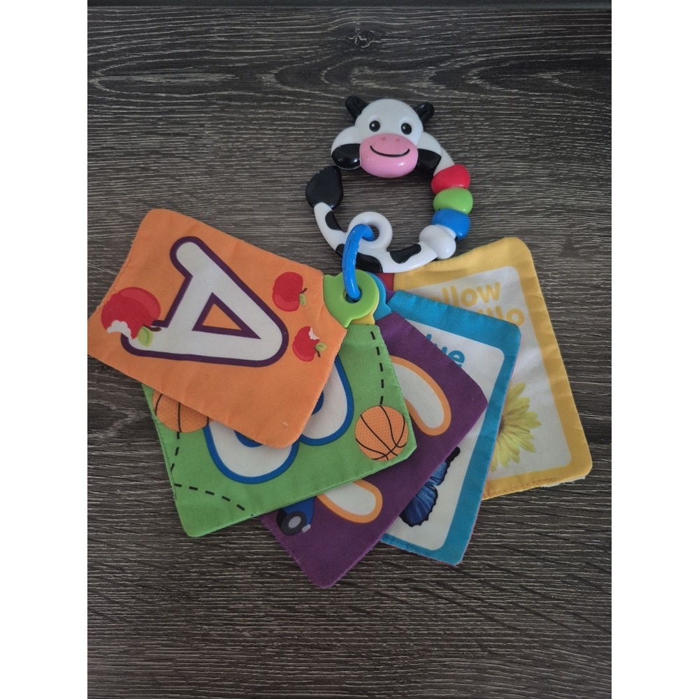 BABY EINSTEIN Take Along Discovery Cards Clip-on 10 Images Crinkle Teether Toy.
